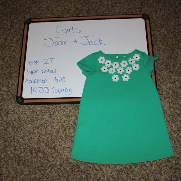 Janie and Jack Other - GUC Janie and Jack green floral dress 2T